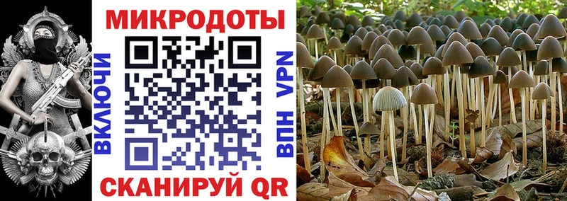 Галлюциногенные грибы ЛСД  Купить  Ревда 